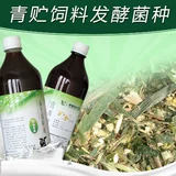 [Например, агент ферментации золотой соломы] кукурузная солома для волос зеленое хранилище подавать желтое хранилище микробактериальная пробиотическая ферментация EM бактерии