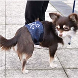 Daoge Pet цивилизованный пояс Мужской собака Физиологические брюки против лиссийных брюк брюки Труды Лояльная лента