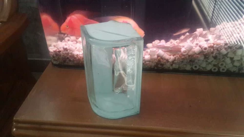 Прозрачная изогнутая 90 -дегровая угловая плитка перегородка стены стеклянная кирпичная туалетная гостиная перегородка перегородка