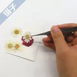 Цветочный клип из нержавеющей стали, сочные плоскогубцы, сушеные цветы с острым ртом, прямой головой, локоть