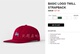 STUSSY LOGO CƠ BẢN TWILL STRAPBACK Red Blue cong nhỏ Nhãn bóng chày Retro - Bóng chày 	gậy bóng chày supreme chính hãng	 Bóng chày