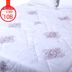 Shengyu nhà dệt mùa xuân và mùa thu bởi lõi mỏng đơn quilt ký túc xá sinh viên duy nhất đôi là trắng Quilts