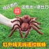 Hồng ngoại điều khiển từ xa spider toàn bộ góa phụ đen spider spoof mô phỏng điện bò sát con cậu bé đồ chơi Đồ chơi điều khiển từ xa