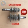 Áp dụng cho bánh răng chính và bánh răng trục phụ chính và phụ của Suzuki GN125-2-F-2F-H - Xe máy Gears 	bộ nhông xích xe máy wave alpha