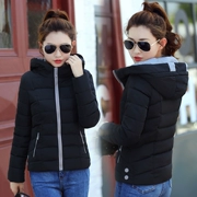 Anta mùa thu đông quần áo mới áo khoác cotton ngắn nữ phiên bản Hàn Quốc của áo khoác mỏng giảm béo áo khoác cotton nhỏ - Quần áo độn bông thể thao