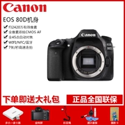 Thân máy độc lập Canon Canon EOS 80D Máy ảnh DSLR chuyên nghiệp HD với WIFI - SLR kỹ thuật số chuyên nghiệp