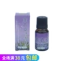 竹 堂 10ml Hộp tím Oải hương 10g Dầu oải hương mới - Tinh dầu điều trị tinh dầu bưởi nguyên chất