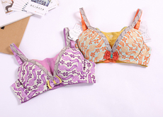 Бюстгальтер