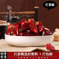 Четыре сезона вечнозеленый перец высушенный перец перец 100G Bullet Head Специальный аромат, острый автономный Sichuan Farmhouse Specialty