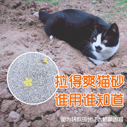 Принятый дом привлекает прохладную минеральную группу, немолочное дно, почва, почва, смешанная дезодоризованная тофу, без пыльного кошачьего песка