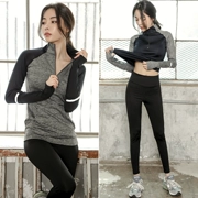 Quần áo tuyết đích thực Yian mùa thu và mùa đông Quần áo thể dục nữ phù hợp với thiết bị thể thao chuyên nghiệp tay dài nhanh chóng thể dục - Thể thao sau