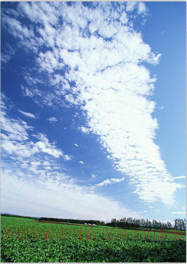 大地与天空插画漫画设计场景照片参考自然素材图例