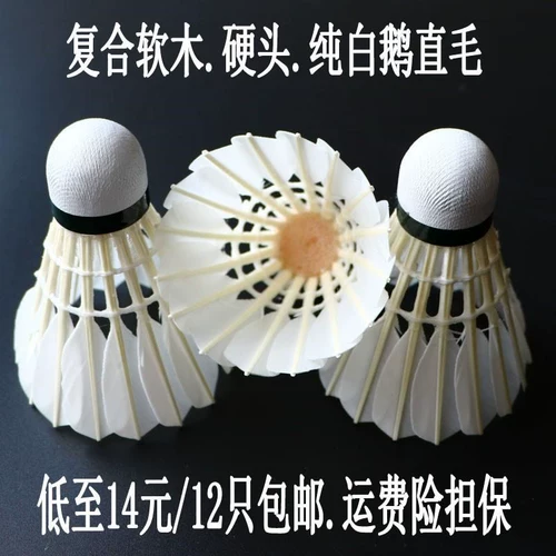 Барминтон в помещении и на открытом воздухе бадминтон с бадминтоном.