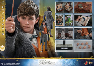 taobao agent Spot HOT TOYS HT MMS512 1/6 Newtter's magic animals where is Glindo's crime?