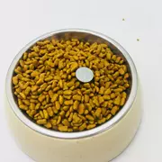 Chất lượng gà Butte Cá hồi Thức ăn cho mèo 10kg2,5kg Thức ăn cho mèo Thức ăn chính ngắn và ngắn Tiếng Anh ngắn - Gói Singular