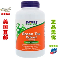 Speat Us Now Foods Green Tea Extraction 400mg250 Camellia polyphenol Catechin
