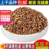 Выбранные китайские лекарственные материалы Laizunzi белый редька редьки, овощная головка Luo Baizi 500 грамм бесплатной доставки