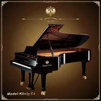 Sản phẩm hoàng gia Đàn piano nhập khẩu gốc Thép tam giác chơi đàn piano Đàn piano lớn Đàn piano Charber C4 dan piano