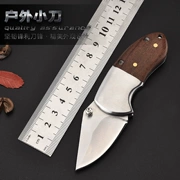 Dao mini Độ cứng cao gấp dao Móc khóa cầm tay Dao cắt trái cây Dao ngoài trời Tự vệ dao Quà tặng - Công cụ Knift / công cụ đa mục đích