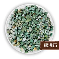 Акка сочный цветочный сочный растение 3-6 мм зеленое вареное каменное выращивание