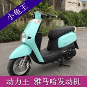 Nhà máy Zengcheng trực tiếp rùa nhỏ Wang Yamaha xe tay ga 110cc tiết kiệm nhiên liệu có thể nằm trên thẻ - mortorcycles