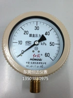 Китай красный флаг мембранный давление давления ye-100 0-6 1016 25 кПа таблица микро-давления.