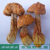 Выбор нового продукта Jiusato Dry Goods Бразильские грибы Юньнан Лицзянту специально производимого вкуса дикого гриба 100 грамм