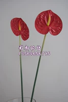 5 gói mô phỏng anthurium mô phỏng cọ xanh hoa giả hoa lụa cao cấp hoa nhựa hoa flamingo hoa Anzu - Hoa nhân tạo / Cây / Trái cây cây hoa đào giả
