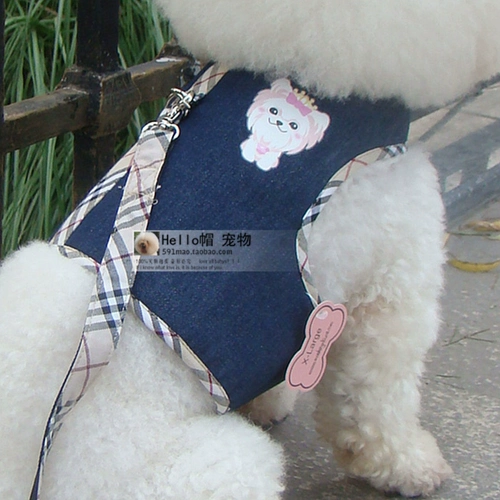 Международная большая -новая одежда для собак, осень и зима, жилет, ремни для грудной клетки+Тедди медведь