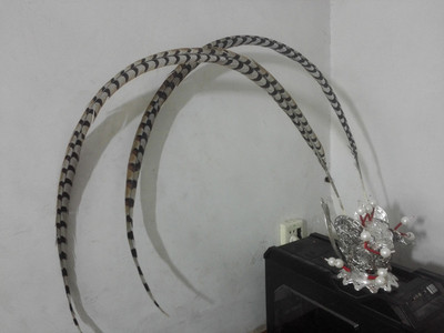 京剧戏曲翎子 孙悟空 紫金冠 头饰 羽毛 翎子 舞台头饰造型设计