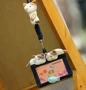 Minh họa Nhật Bản dễ thương mèo phụ nữ sinh viên thẻ bộ xe buýt thẻ bộ dây buộc giấy chứng nhận thiết lập thẻ thẻ gói phiên bản ngang bao nhựa dẻo