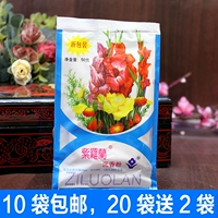 10 túi bột gỗ trầm hương Bắc Kinh chính hãng 50g túi dầu kiểm soát trang điểm năng lực sửa chữa lỏng bột mật ong cơ thể phấn phủ kiềm dầu eglips