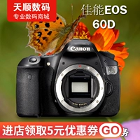 Canon 60D 70D 77D 80D 90D High -Speed ​​Spec -Spect Spect Shooting Intermediate SLR -камера HD Video Guarty в течение 3 лет