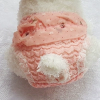 Собака v брюки с оценкой во время брюк, мальчик -женщина упаковала внутренние брюки летние кружевные плюшевые плюсы Мемориальные штаны Большая собака