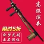 Chơi nhạc cụ Jinghu chuyên nghiệp cao cấp mực vàng vừng hoa gánh nặng Xipi Liu Menghu Jinghu đặc biệt đích thực - Nhạc cụ dân tộc saotruc maomeo