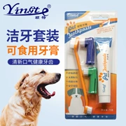 Pet cung cấp kem đánh răng cho thú cưng bộ bàn chải đánh răng cho chó chăm sóc răng miệng mèo chó bàn chải đánh răng - Thuốc diệt côn trùng