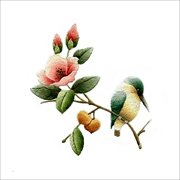 Nổi tiếng cổ thêu nghệ thuật thêu thêu diy kit người mới bắt đầu handmade sơn trang trí với mũi khâu hoa và chim 20 * 20 CM