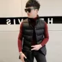 2017 mùa đông Hàn Quốc phiên bản của tự trồng cổ áo nam cotton vest nam ngắn cotton vest nam áo khoác thanh niên vest vai vest áo thun cotton nam