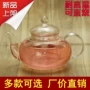 Đặc biệt cung cấp trà thảo dược thiết handmade thủy tinh chịu nhiệt ấm trà Kung Fu trà đặt 200-1500 ml [hoa ấm trà] bộ bình trà