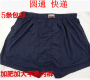 Trung niên và người già bông đồ lót cộng với phân bón XL nam boxer shorts cotton chân phẳng quần short nam boxer