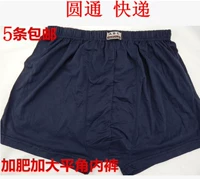 Trung niên và người già bông đồ lót cộng với phân bón XL nam boxer shorts cotton chân phẳng quần short nam boxer bán đồ lót nam nữ