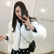 2018 mùa thu và mùa đông mới của Hàn Quốc phiên bản của dài tay giả rabbit fur coat nữ đoạn ngắn hoang dã mỏng fur coat triều