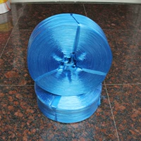 Синяя веревка (2 см) -8,5 кот