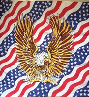 Американский флаг орел