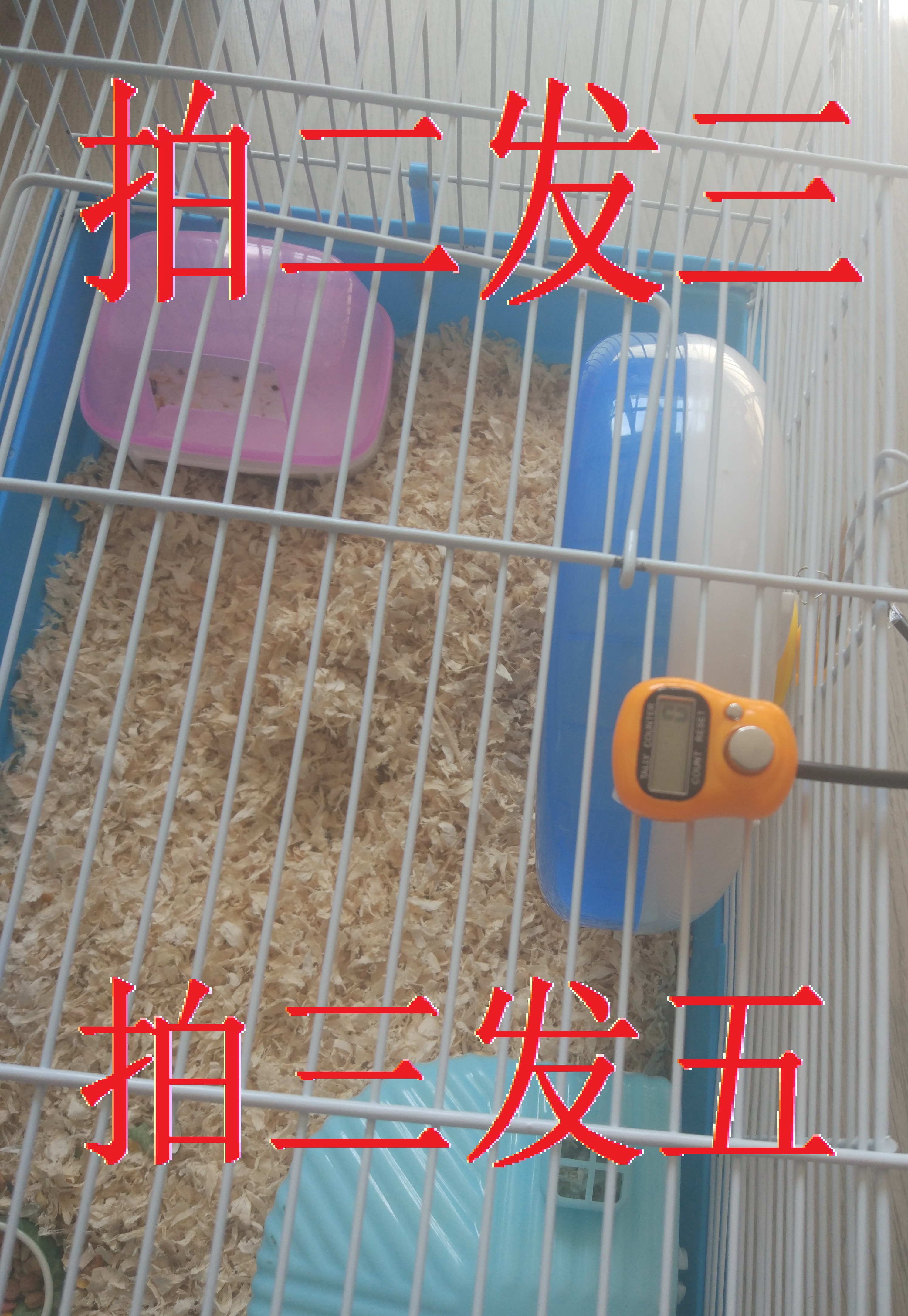 ...
