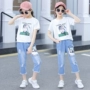 Cô gái mùa hè 2019 mới Hàn Quốc ngắn tay nước ngoài trẻ em lớn quần short denim hai mảnh giản dị - Quần jean quần jean ống loe bé gái