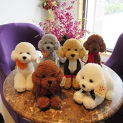 Mô phỏng Teddy Dog Doll Đồ chơi sang trọng VIP Dog Doll Ragdo Dễ thương Gối Quà tặng Cô gái - Đồ chơi mềm