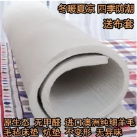 Nệm cotton nỉ mat lửa điện 炕 nỉ mat mat đệm đôi sinh viên tùy chỉnh nệm mút