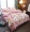 Giường ấm dày flannel bốn mảnh mùa đông san hô lông cừu hai mặt lông cừu nhung chăn bao gồm loại giường
