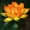 Mô phỏng hoa sen với cực Trang trí lá sen cho Phật hạ cánh Mô phỏng cây xanh giả hoa sen đạo cụ đạo hoa - Hoa nhân tạo / Cây / Trái cây
